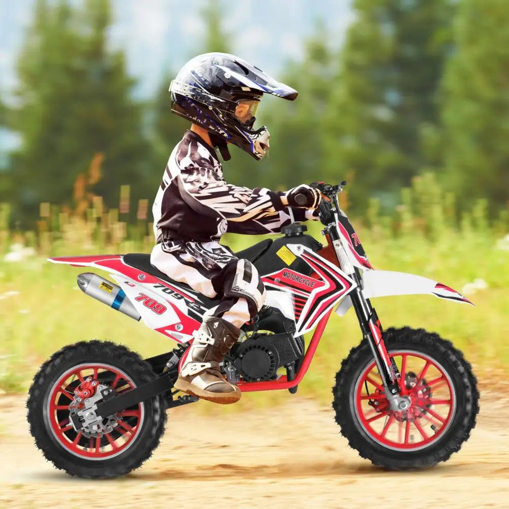 Mini Motocross Bike, Ergonomic Handle 49cc 2-Stroke Kids Dirt Bike, Gas Power Children Motorcycle, Racing Max Speed 30KM/H (Red)